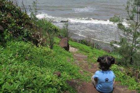 ホテルVarshavan- Nature, Hobby And Art Residency Dāpoli エクステリア 写真