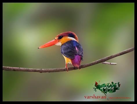 ホテルVarshavan- Nature, Hobby And Art Residency Dāpoli エクステリア 写真