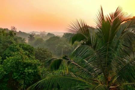 ホテルVarshavan- Nature, Hobby And Art Residency Dāpoli エクステリア 写真
